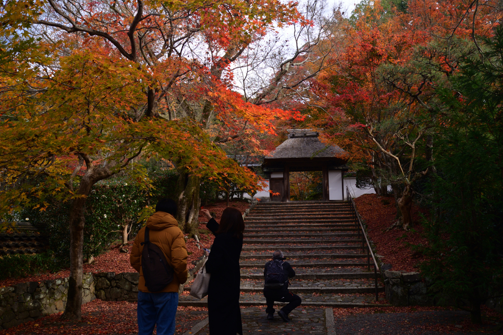 221203c安楽寺21