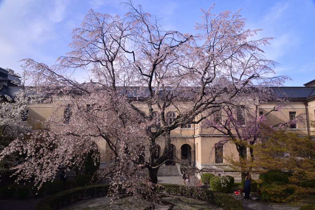 230327b京都府庁09