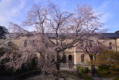 230327b京都府庁09