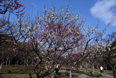 190212山田池公園07