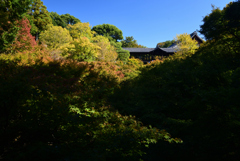 211029a東福寺08