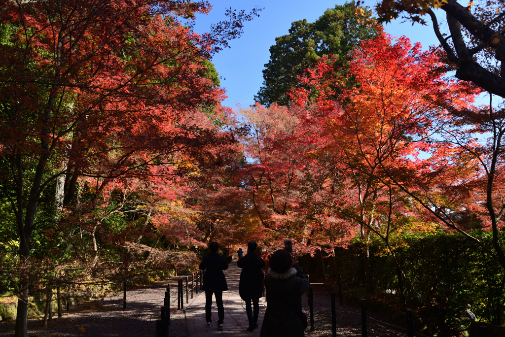 211203a光明寺35