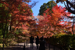 211203a光明寺35