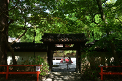 230819b下鴨神社40