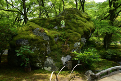 230527b宝厳院45