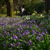 200321京都植物園36