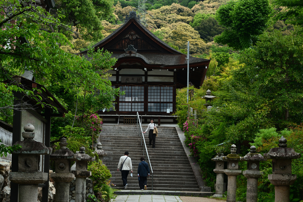 250509d宇治神社37