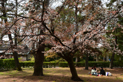 250330b京都御苑46