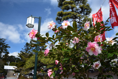 200219中山寺04 200219中山寺04