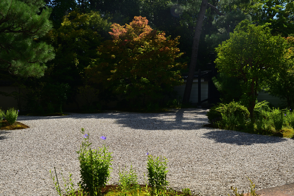 230905c蘆山寺39