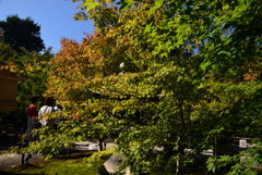 191028b勝林寺25
