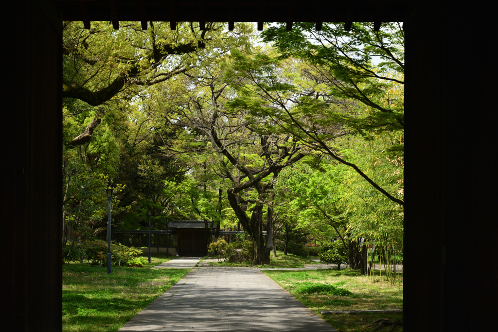 220413c藤田邸跡庭園60
