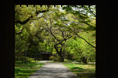 220413c藤田邸跡庭園60