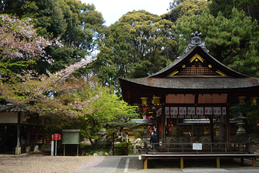 200415水度神社05