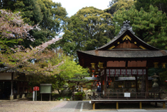 200415水度神社05