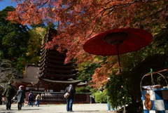 171113a談山神社25