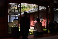 220401a十輪寺28