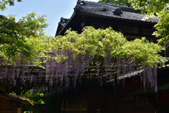 190502b長岡天満宮44