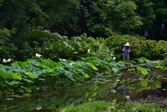 210716a京都植物園09