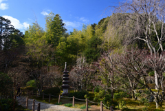 250121a龍安寺22