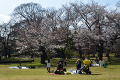 210323b京都植物園49