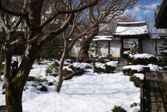 230129b圓光寺18