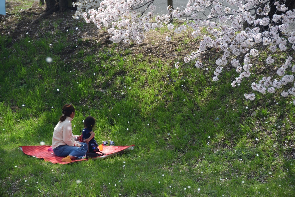 180401bファミリー公園21