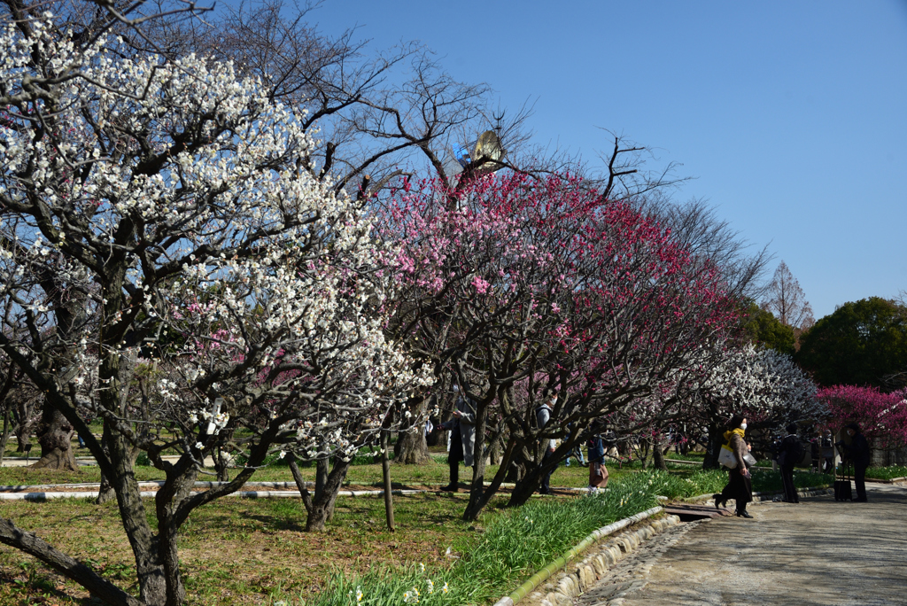 210220万博公園01