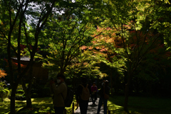 221104b三千院34