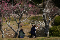 220305a山田池公園31