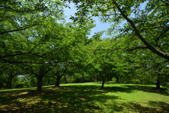 190606馬見丘陵公園39