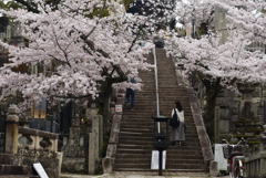 210330b金戒光明寺11