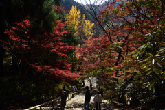 201115a室生寺38