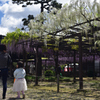 190427a葛井寺50