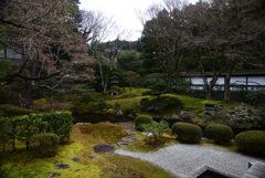 200124b泉涌寺17