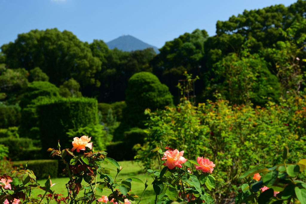 221002京都植物園05