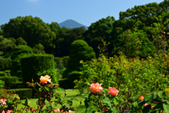 221002京都植物園05