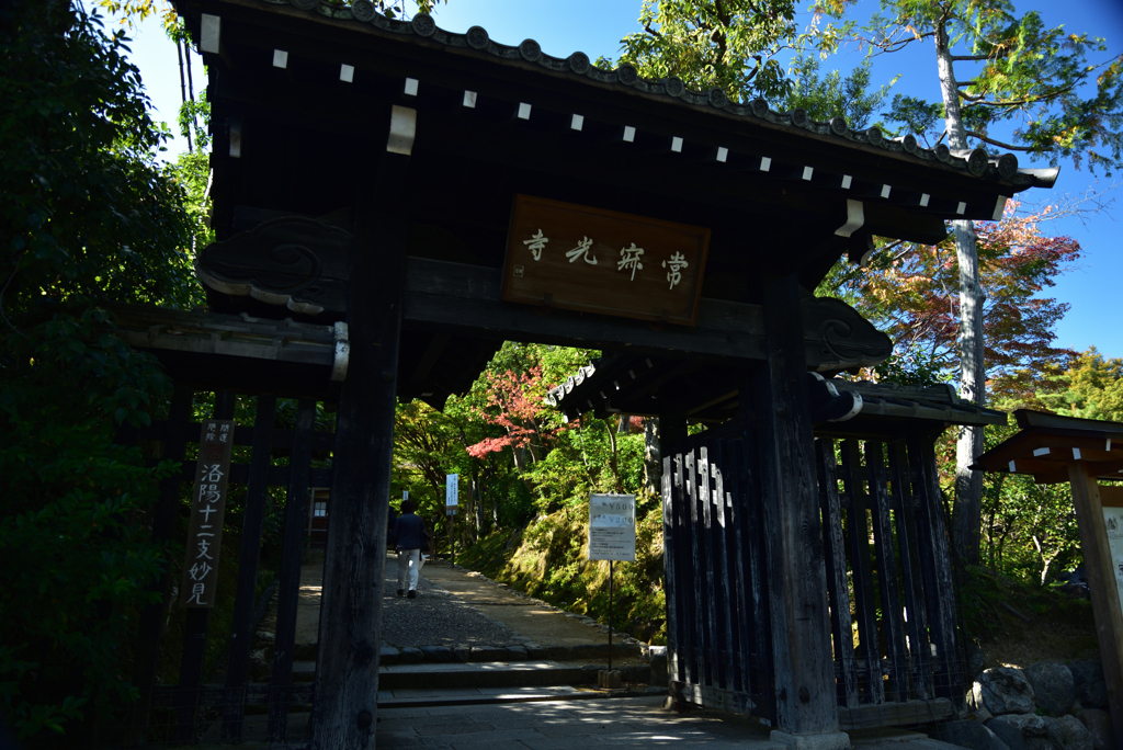 191109b嵯峨野07
