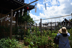 200718cおふさ観音06