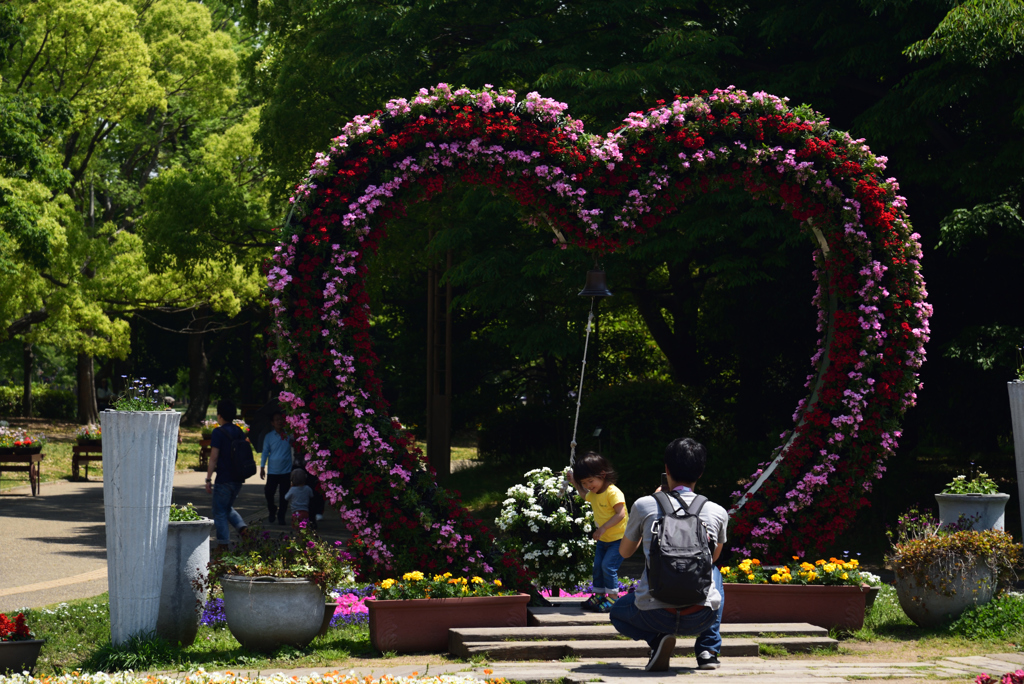 190512a長居植物園02