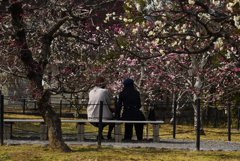 190312b長岡天満宮31