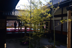 250121b建仁寺西来院09