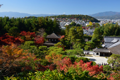 191123a銀閣寺30