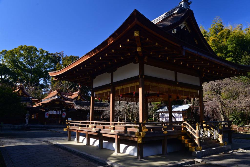 230117c平野神社35
