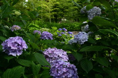 230607城北公園48