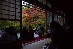 181124b圓光寺64