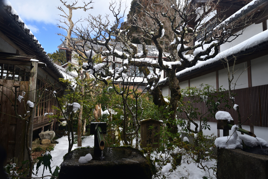 250210a大原三千院15