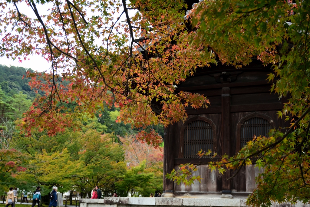 181104b南禅寺49