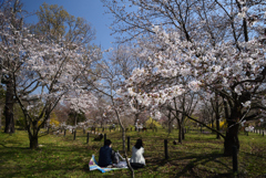 210323b京都植物園35