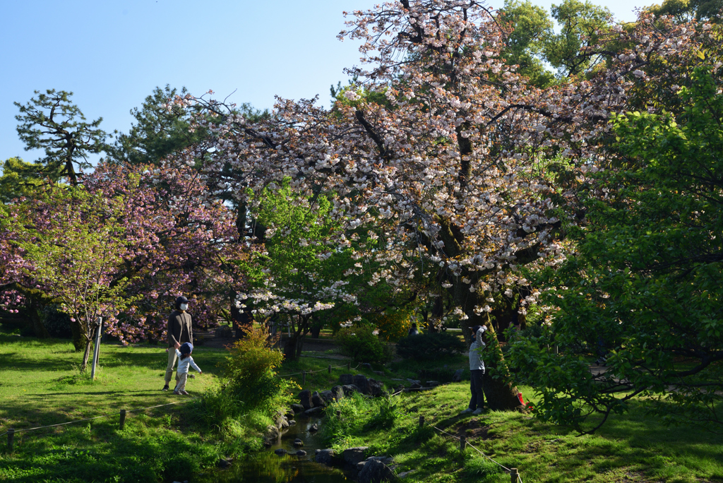 210407e京都御苑20